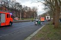 VU PKW Baum Koeln Muelheim Pfaelzischer Ring P004